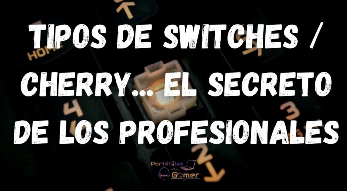 Tipos de switches